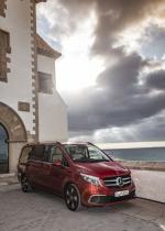 Mercedes-Benz V300 d Exclusive Line 2019 года (WW)